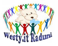 http://www.westy.it/images/raduni.jpg