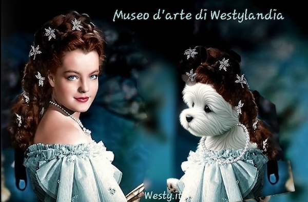 Buongiorno Westy