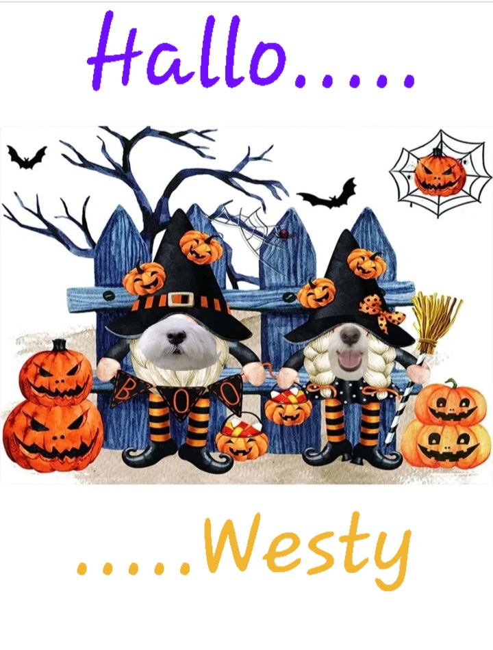 Westy Halloween