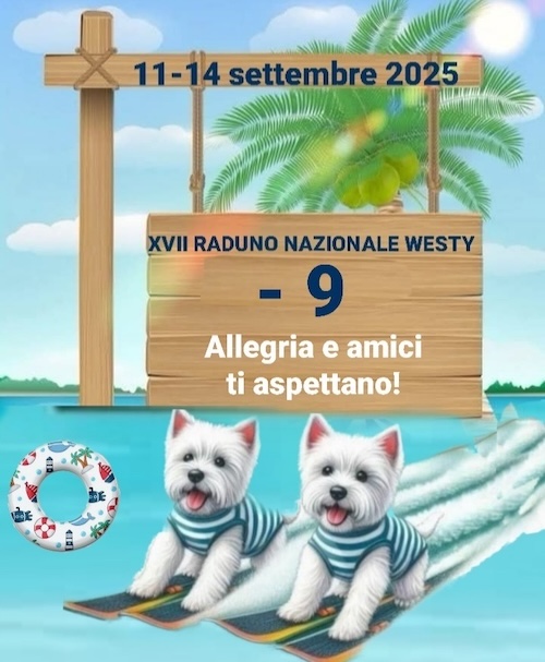 Raduno Westy