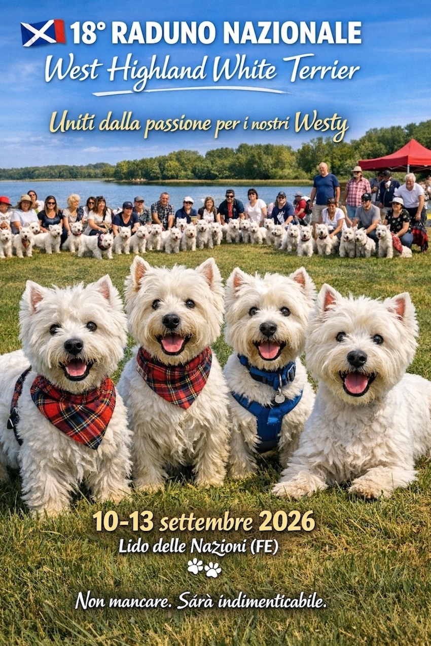 Locandina Raduno Nazionale