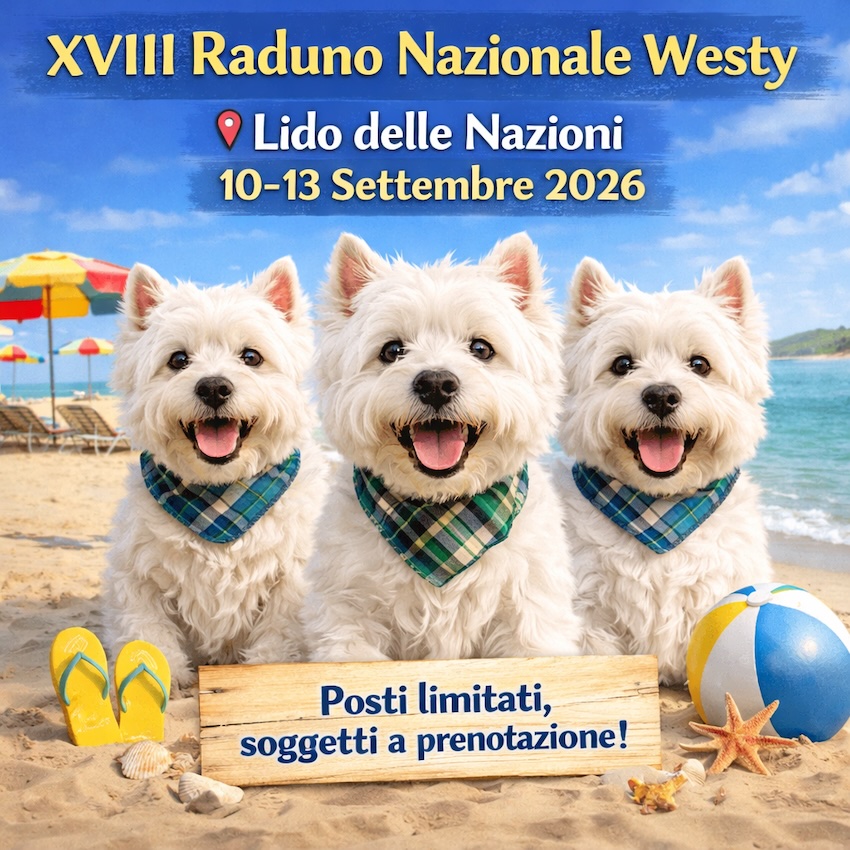 Locandina Raduno Nazionale
