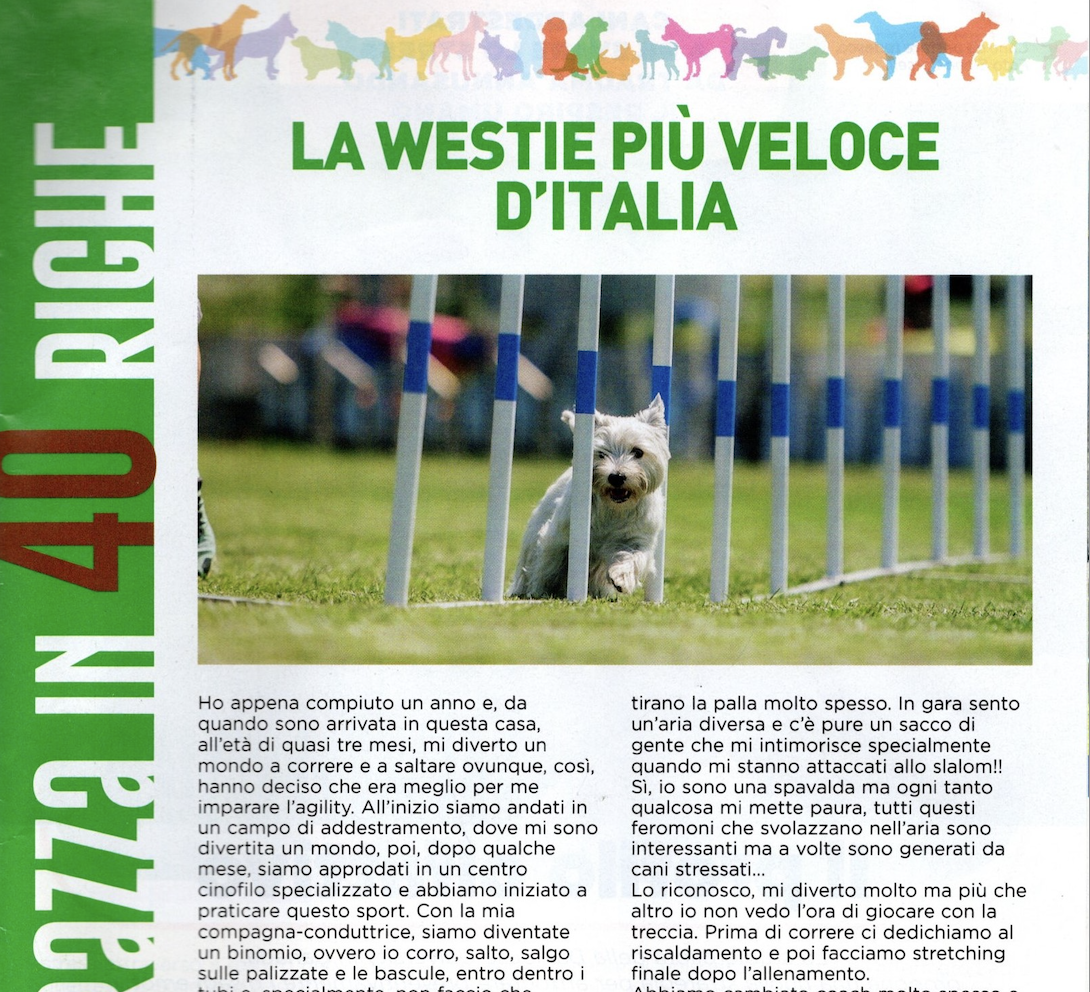 Immagine Giornale