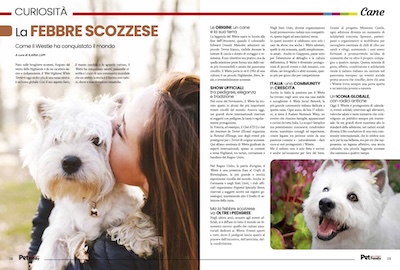 Immagine Giornale