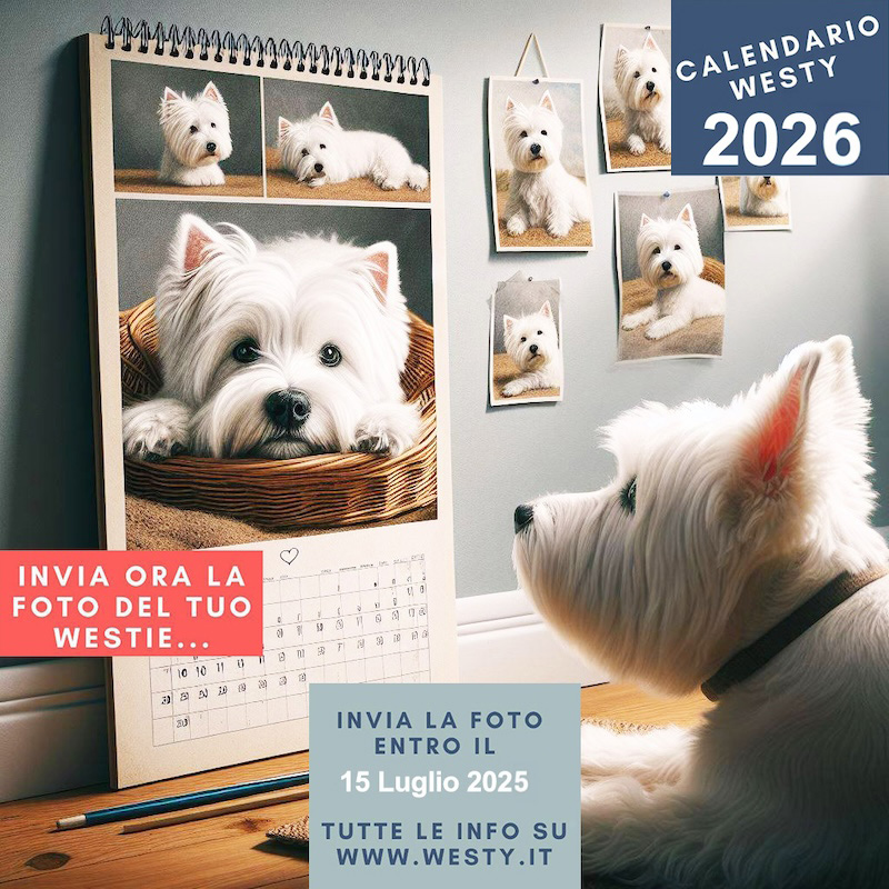 Calendario Westy