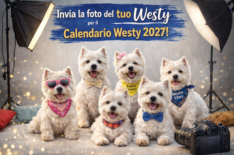 https://westy.it/images/calendario2023/calendario2027.png