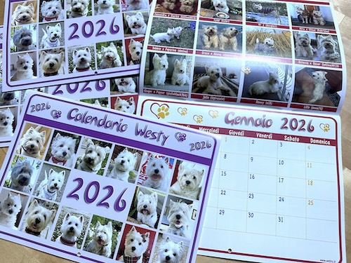 Vedi il Mercatino Westie