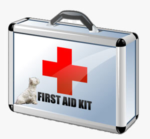 Westy pronto soccorso in vacanza
