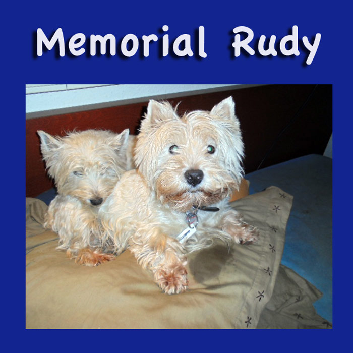 Memorial Rudy