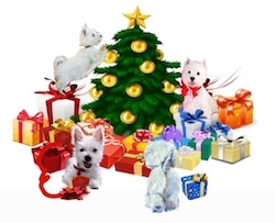 Natale Westy