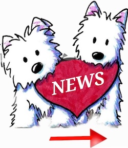 Novita' Su Westy Social Network 