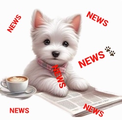 Novita' Su Westy Social Network 
