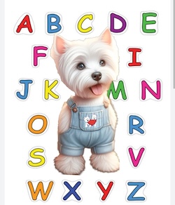 Novita' Su Westy Social Network 