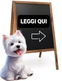 Novita' Su Westy Social Network 