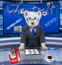 Novita' Su Westy Social Network 