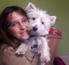 Immagine Westie