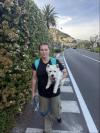 Immagine Westie