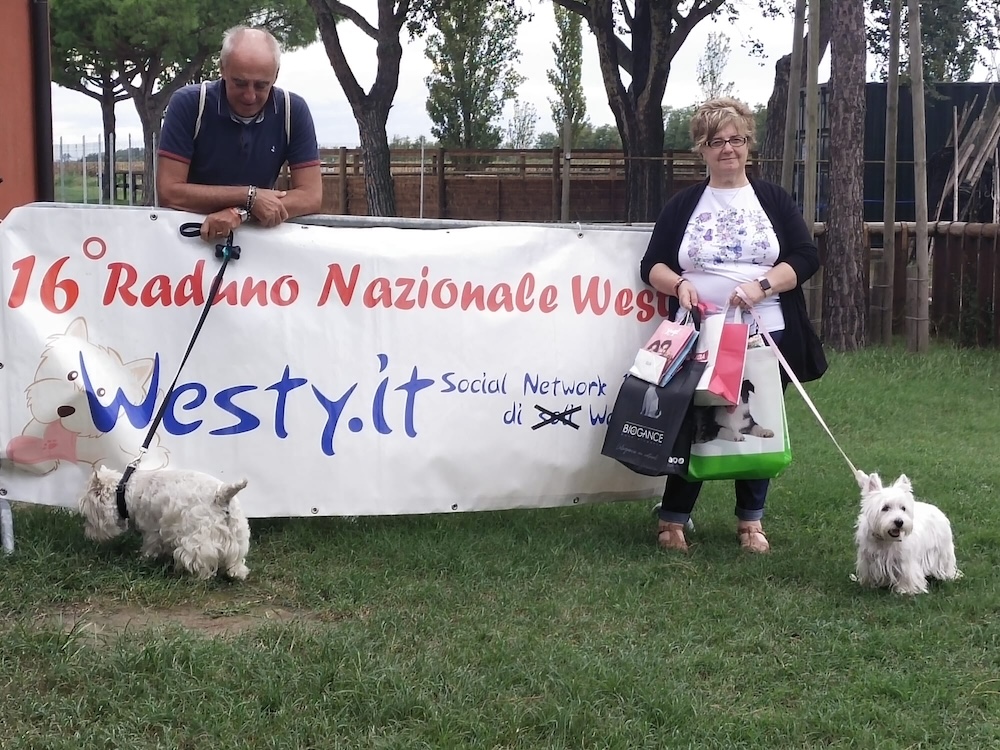 Foto del XVI Raduno Nazionale Westy