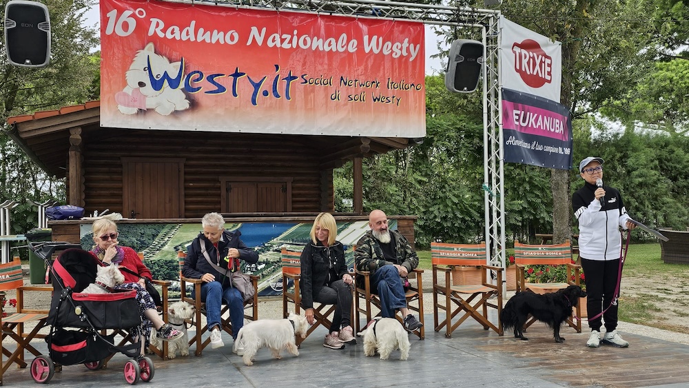 Foto del XVI Raduno Nazionale Westy