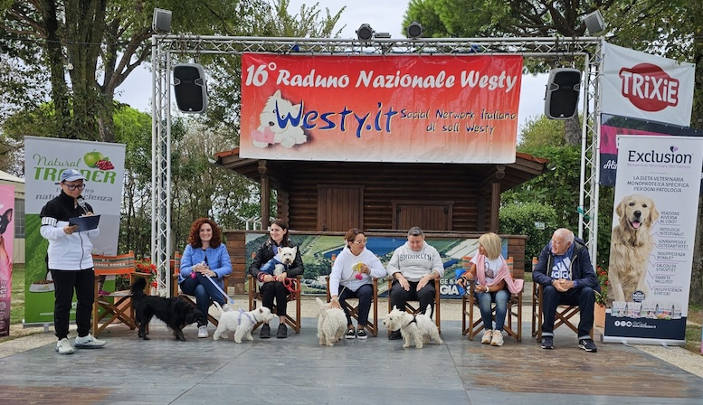 Foto del XVI Raduno Nazionale Westy