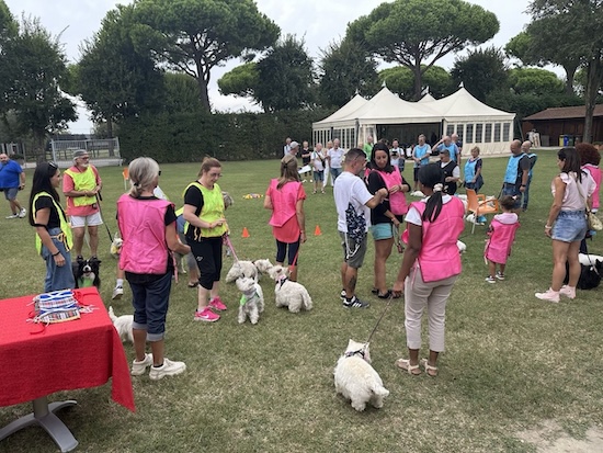 Momenti Indimenticabili