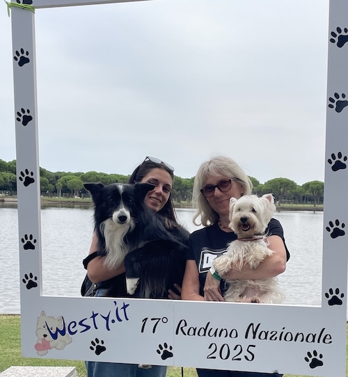 La Family di Westy Social Netwrork -  XVII Raduno Westy