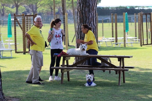 Foto del XVII Raduno Nazionale Westy