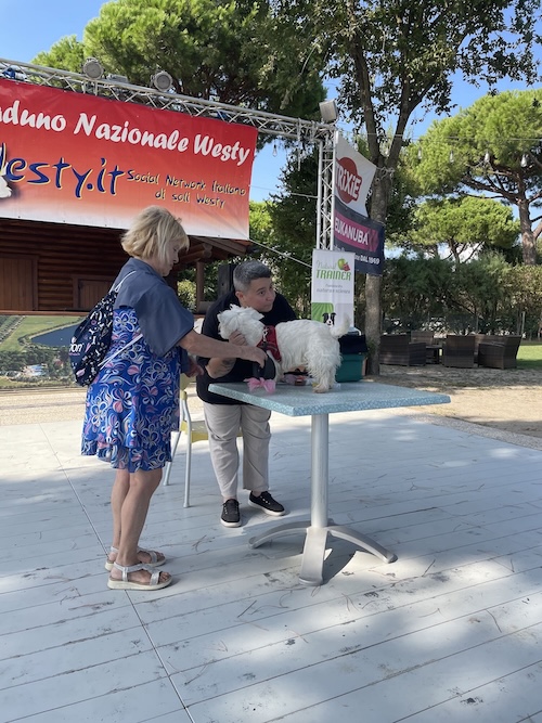 Foto del XVII Raduno Nazionale Westy