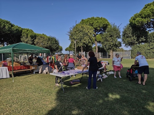 Foto del XVII Raduno Nazionale Westy