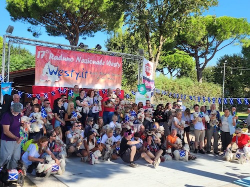 Foto del XVII Raduno Nazionale Westy
