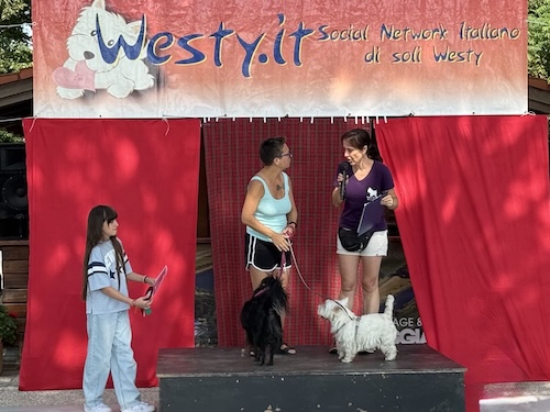 Foto del XVII Raduno Nazionale Westy