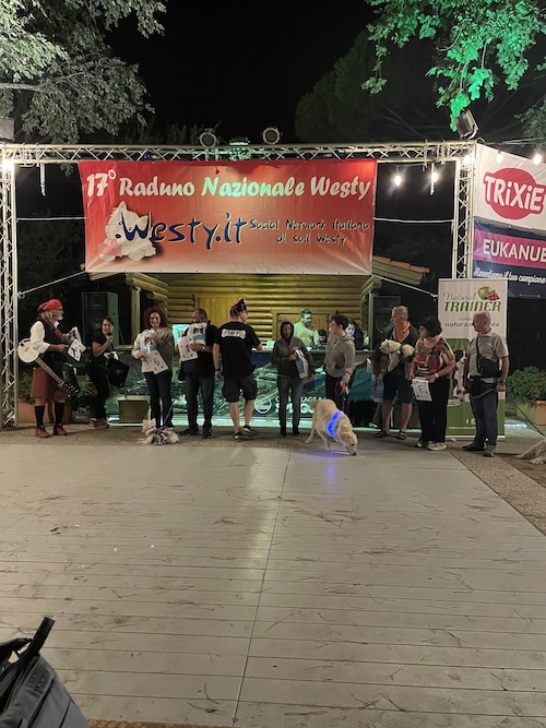 Foto del XVII Raduno Nazionale Westy