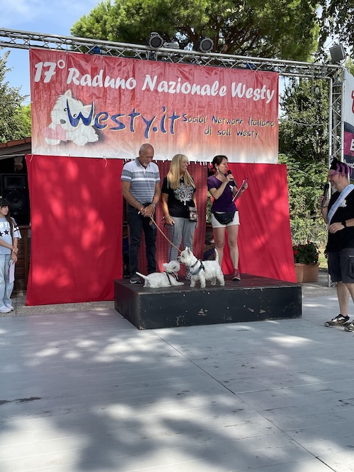Foto del XVII Raduno Nazionale Westy