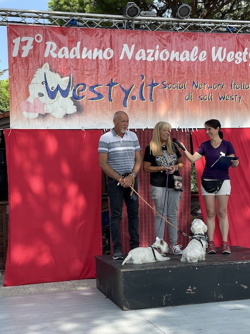 Foto del XVII Raduno Nazionale Westy