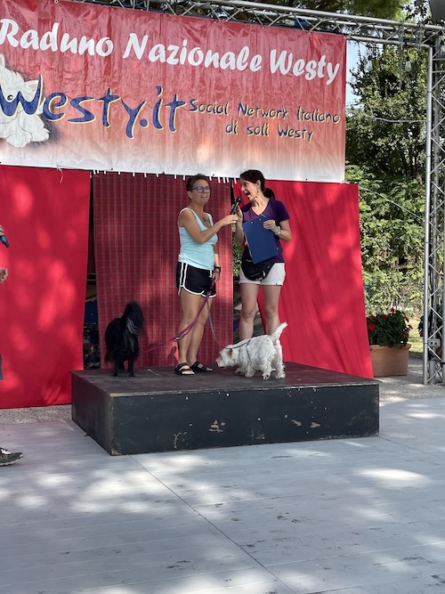 Foto del XVII Raduno Nazionale Westy