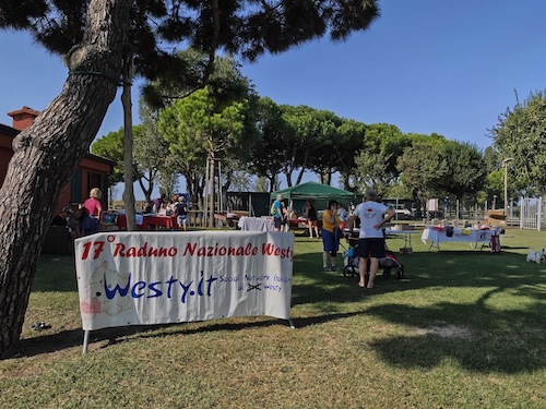 Foto del XVII Raduno Nazionale Westy