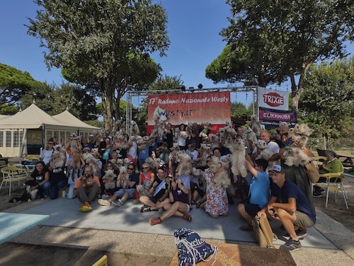 Foto del XVII Raduno Nazionale Westy