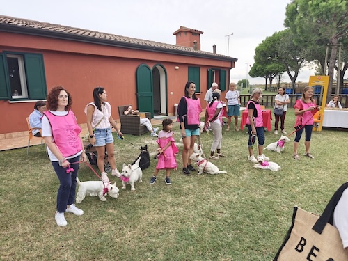 Foto del XVII Raduno Nazionale Westy