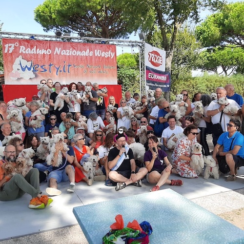 Foto del XVII Raduno Nazionale Westy
