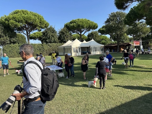 Foto del XVII Raduno Nazionale Westy