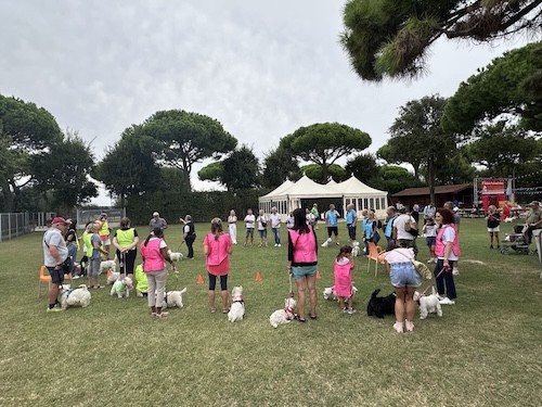 Foto del XVII Raduno Nazionale Westy