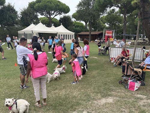 Foto del XVII Raduno Nazionale Westy