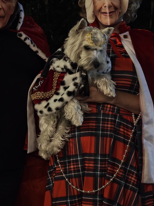 Foto del XVII Raduno Nazionale Westy