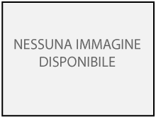 Struttura per Westy