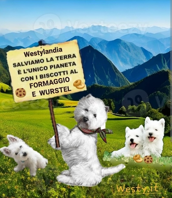 https://westy.it/varie/FRASI/GREG2025-03-15.jpg