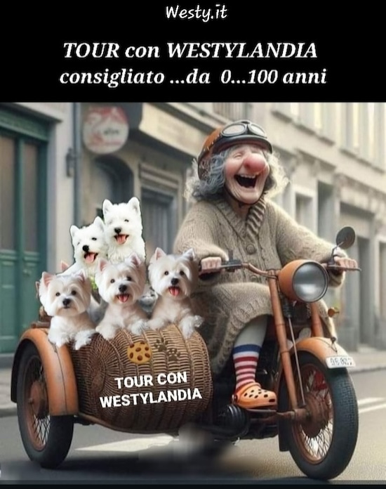 https://westy.it/varie/FRASI/GREG2025-03-16.jpg