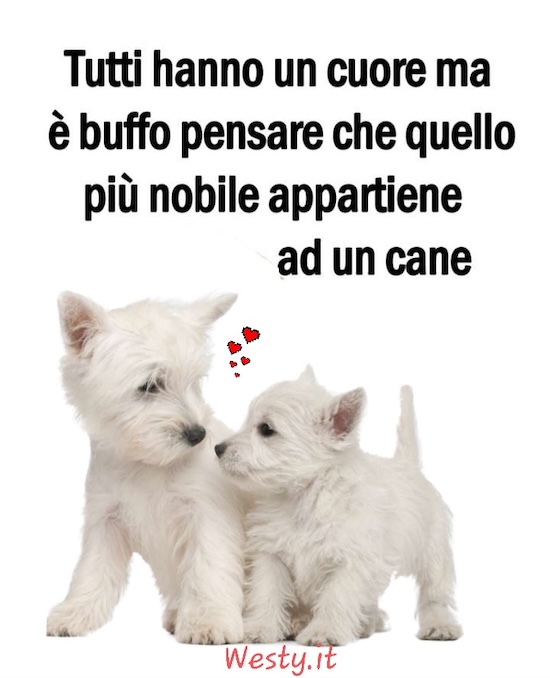 https://westy.it/varie/FRASI/GREG2025-04-08.jpg