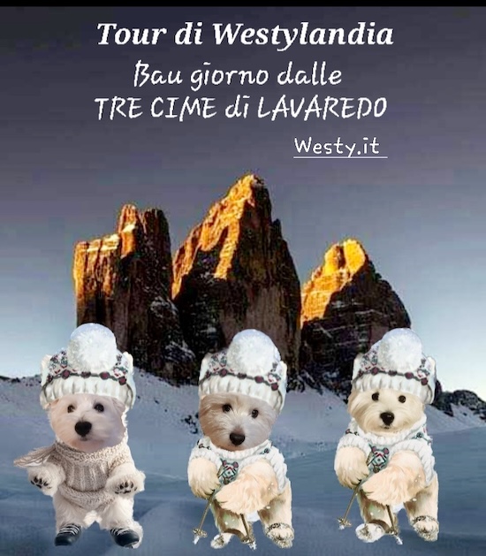 https://westy.it/varie/FRASI/GREG2025-04-14.jpg