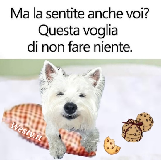https://westy.it/varie/FRASI/GREG2025-04-17.jpg