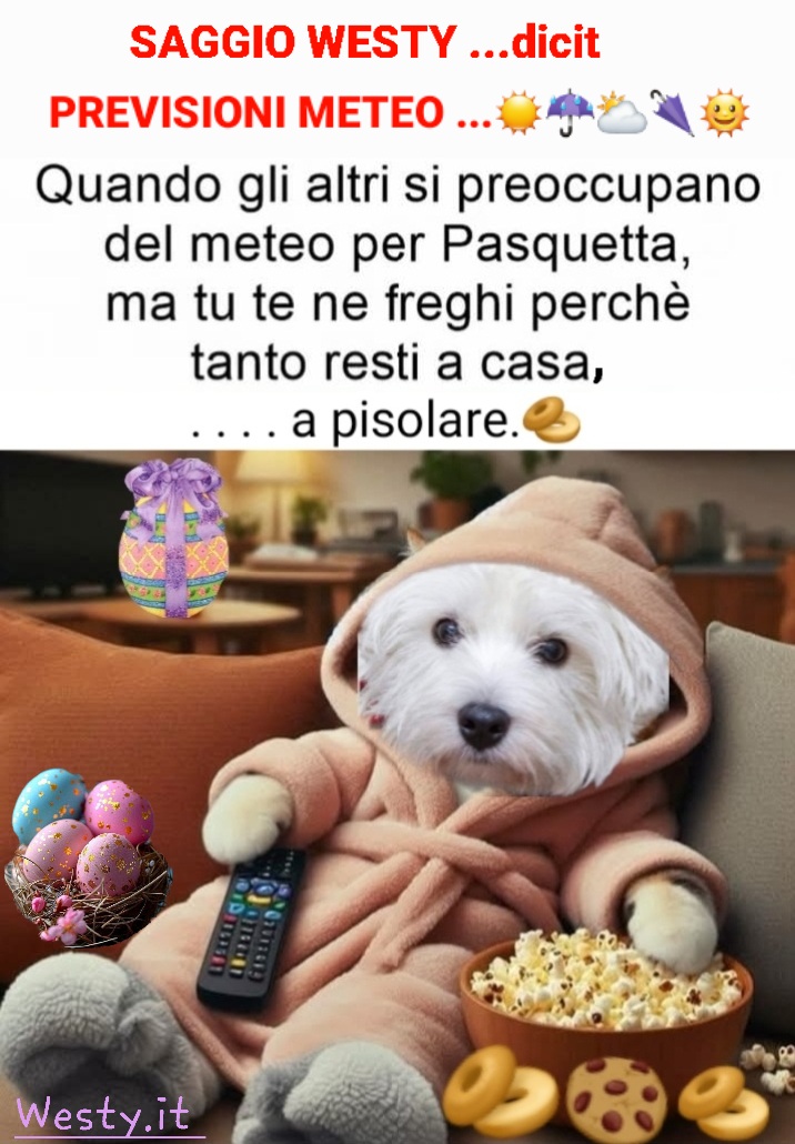 https://westy.it/varie/FRASI/GREG2025-04-18.jpg